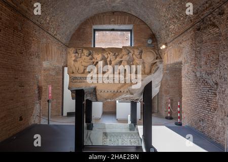 Roma, Italia, Museo dei fori Imperiali, fregio in marmo luni architrave con pidi, Tempio di Venere Genetrix nel Foro Foto Stock