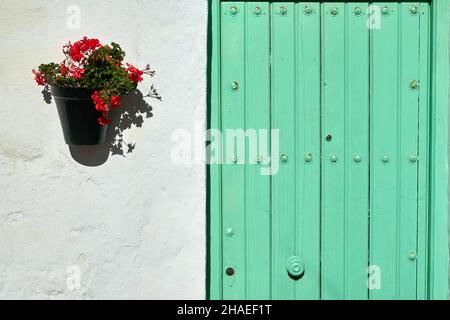 Porta in legno verde in una casa andalusa mediterranea con una facciata bianca con un vaso di fiori rossi Foto Stock