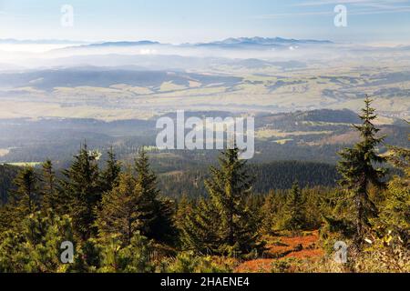 Vista da Babia gora o Babi Hora alla Slovacchia - Confine tra Polonia e Slovacchia Foto Stock