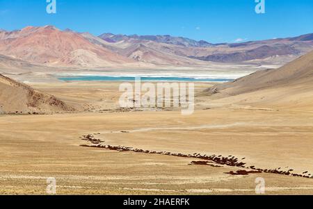 Lago Kar o Tso Kar vicino al lago Tso Moriri, valle Rupshu, Ladakh, Jammu e Kashmir, India Foto Stock