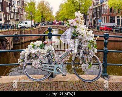Vecchia bicicletta d'epoca decorata con fiori bianchi su un piccolo ponte nella parte vecchia di Amsterdam Foto Stock