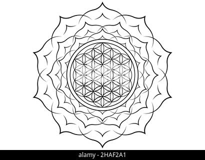 Fiore di vita, Yantra Mandala nel fiore di loto, geometria sacra. Tatuaggio nero stampato simbolo di armonia ed equilibrio. Talismano mistica, isolata Illustrazione Vettoriale