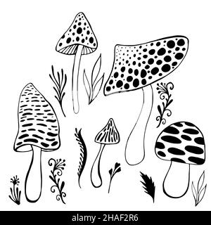 Ambientato con funghi trippy astratti psichedelici, fondo isolato. Coloring page cartoon allucinogenic vettore fantasia funghi. Illustrazione Vettoriale