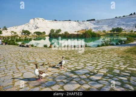 Il piccolo lago di Pamukkale sulla Turchia Foto Stock