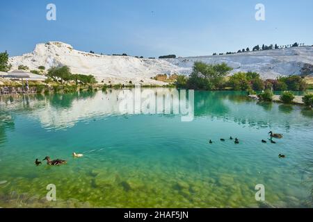 Il piccolo lago di Pamukkale sulla Turchia Foto Stock