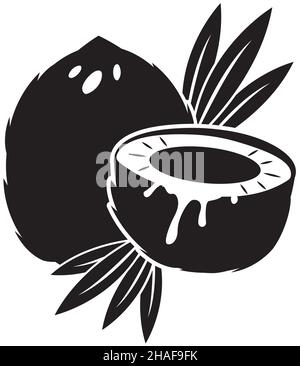Illustrazione di cocco isolato su sfondo bianco, vettore. Silhouette in noce di cocco bianco e nero Illustrazione Vettoriale