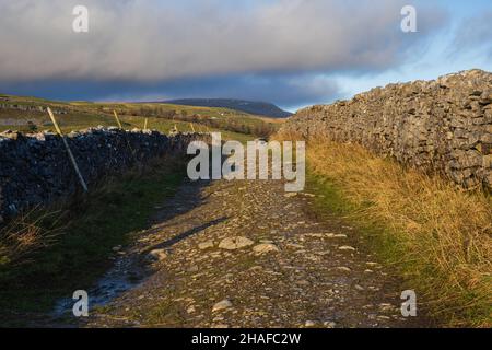 Long Lane sopra Claphm in direzione Selside nella Yorkshire Dales Foto Stock