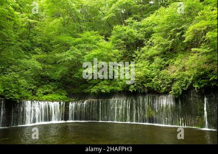 Cascata di Shiraito vicino a Karuizawa nella Prefettura di Nagano, Giappone Foto Stock