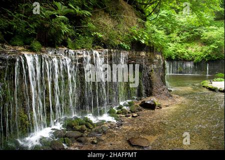 Cascata di Shiraito vicino a Karuizawa nella Prefettura di Nagano, Giappone Foto Stock