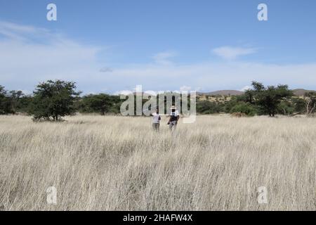 Kalahari, Sudafrica. 05th Dic 2021. Gli scienziati Keafon Jumbam (l) e Olufemi Olubodun cercano un segnale per i cani selvatici africani geotaggati che vengono monitorati come parte di uno studio sul clima alla Riserva Naturale di Tswalu nel Kalahari del Sud Africa. Gli scienziati stanno ricercando che cosa l'aumento di temperatura nel Kalahari significa per gli animali e le piante - e che cosa il mondo può imparare da esso. (Al dpa 'Kalahari dell'Africa: Una finestra nel futuro del cambiamento climatico') Credit: Kristin Palitza/dpa/Alamy Live News Foto Stock