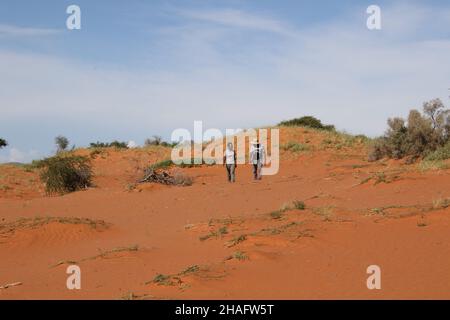 Kalahari, Sudafrica. 05th Dic 2021. Gli scienziati Keafon Jumbam (l) e Olufemi Olubodun nella sabbia rossa della riserva naturale di Tswalu a Kalahari, in Sudafrica, dove stanno ricercando gli effetti del cambiamento climatico sulla vita animale e vegetale. Gli scienziati stanno ricercando che cosa l'aumento della temperatura nel Kalahari significa per gli animali e le piante - e che cosa il mondo può imparare da esso. (Al dpa 'Kalahari dell'Africa: Una finestra nel futuro del cambiamento climatico') Credit: Kristin Palitza/dpa/Alamy Live News Foto Stock