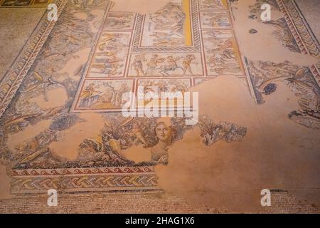 Dettagli della Monna Lisa della Galilea ritratto una scena dal matrimonio di Dioniso e Ariadne AKA Dioniso Mosaico, sul pavimento della Villa Romana Foto Stock