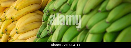 02 dicembre 2017, Curao, Willemstad: Banane gialle e verdi giacciono su una stalla di un mercato. Foto: Silas Stein/dpa Foto Stock