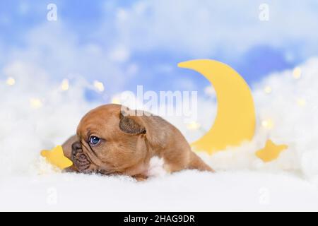 Lilla Red è un cucciolo francese di Bulldog tra le nuvole soffici con la luna e le stelle Foto Stock