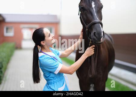 Donna veterinario guarda il cavallo Foto Stock