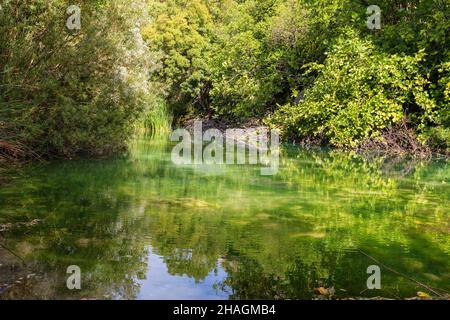 Canale tranquillo del fiume Guadalentin Foto Stock