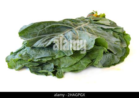 Kale nero isolato su bianco. Primo piano Black Kale. Cibo biologico Foto Stock