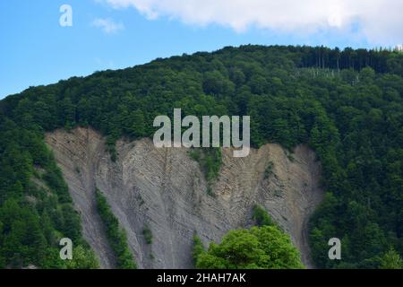Un taglio di una grande roccia con linee orizzontali multiple nella pietra da erosione e intemperie. Una foresta cresce sulla roccia. Vista laterale Foto Stock