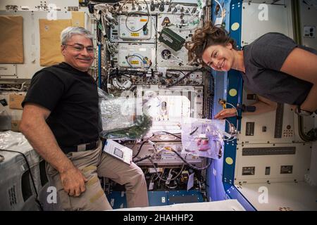 ISS - Novembre 2021 - gli astronauti della NASA e la spedizione 66 gli ingegneri di volo Mark Vande Hei e Kayla Barron sono raffigurati di fronte all'International Sp Foto Stock
