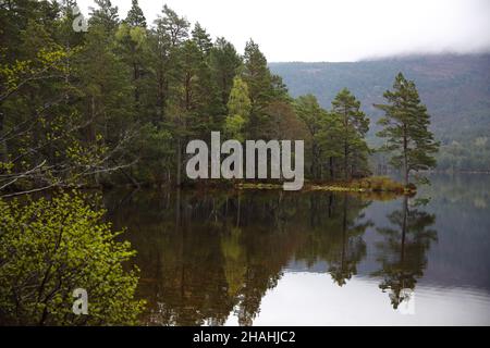 Loch An Eilein, Rothiemurchus, Aviemore, Scozia Foto Stock