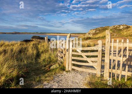 Un cancello intagliato su Ynys Llanddwyn a Newborough Beach, Isola di Anglesey, Galles del Nord Foto Stock