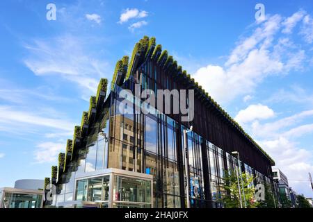 Edificio sostenibile con siepi di carpino sul tetto di Ingenhoven Architects a Kö-Bogen II nel centro di Düsseldorf, Germania. Foto Stock