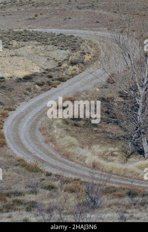 Strada rurale, tra il deserto steppa Foto Stock