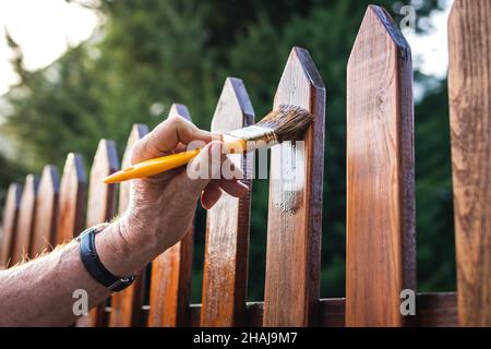 Uomo che dipinge legno macchia in legno asse in giardino. Vernice protettiva su recinzione in legno di picket sul retro Foto Stock