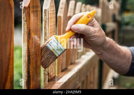 Verniciatura vernice protettiva su recinzione di picket in legno sul retro. Uomo vernice macchia di legno a tavola di legno all'aperto Foto Stock