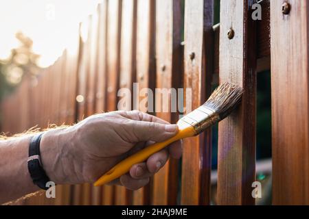 Vernice macchia di legno. Verniciatura vernice protettiva su recinzione di picket in legno sul retro Foto Stock