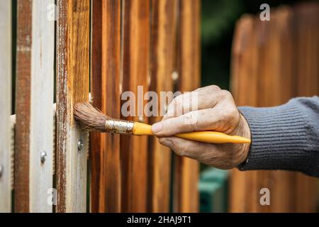 Pittura recinzione in legno con macchia di legno. Riparare il recinto del picket sul cortile posteriore Foto Stock