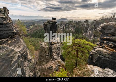 Montagne di arenaria dell'Elba - Vista nell'area di Bastei verso sud-est, formazione rocciosa prominente e albero in primo piano, retroilluminazione, cielo contrastante con Foto Stock