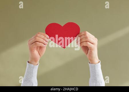 Le mani della giovane donna che tengono il cuore rosso della carta come segno di blog gradisce, simpatia o simbolo di approvazione. Foto Stock