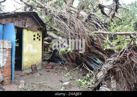 Tempesta super ciclonica Amphan era un potente e catastrofico ciclone tropicale che ha causato danni diffusi nell'India orientale, in particolare nel Bengala occidentale e in Odisha. Il ciclone ha ucciso almeno 84 persone in India e Bangladesh. Kolkata, India. Foto Stock