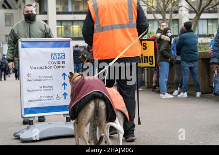 Londra UK 13 dicembre 2021. Le persone si sono unite a una coda di sei ore per ricevere la vaccinazione covid-19 come programma di booster del governo britannico e della NHS turbocharge contro l'onda di marea di Omicron. A tutti gli adulti in Inghilterra viene offerto un jab booster entro la fine dell'anno in mezzo al livello di allerta Covid è stato innalzato dal livello 3 al livello 4 la scorsa domenica. Credit: Xiu Bao/Alamy Live News Foto Stock