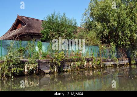 Tradizionale capanna da pesca coperta di canne sui canali del Delta del Danubio, in località Dunavățul de Jos Foto Stock