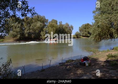 Salici antichi sulla riva sinistra del canale Dunavăț. Barche piene di turisti navigano sui canali del Delta Foto Stock