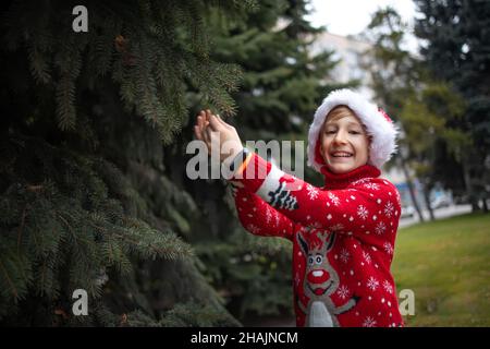 Un ragazzo in un maglione di Natale a maglia rossa con una renna di Natale e un cappello di Babbo Natale tiene un ramo dell'albero di Natale con le mani e ridere Foto Stock
