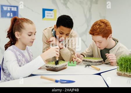 Ritratto di diversi gruppi di bambini che sperimentano con piante in classe di biologia Foto Stock