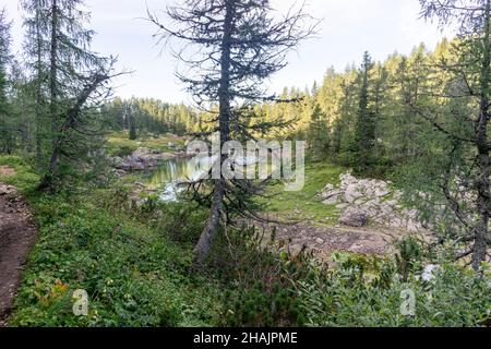 Bella Valle del Lago del Triglav nel Parco Nazionale del Triglav nelle Alpi Giulie slovene. Foto Stock