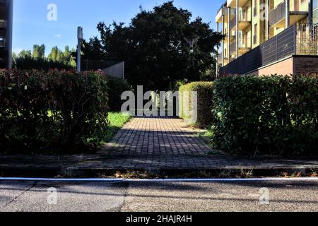 Passaggio con alberi tra edifici in campagna Foto Stock