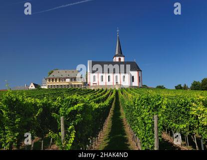 Ammira la chiesa di Hochheim in Hesse, Germania, in una splendida giornata estiva con un cielo blu chiaro Foto Stock