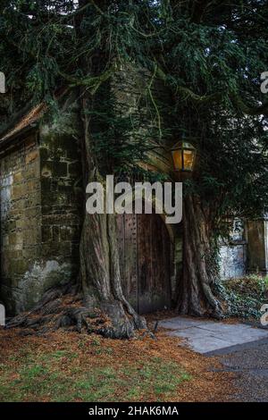 Edward's Church, famosa per due alberi di tasso che coprono la porta della chiesa. Stow-on-the-Wold, Gloucestershire, Inghilterra, Regno Unito. Foto Stock