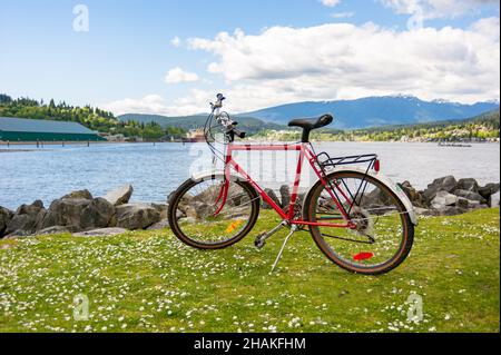 Bicicletta rossa d'epoca in una bella giornata poco nuvolosa a Port Moody vicino all'oceano con montagne sullo sfondo e fiori di camomilla sul verde erba Foto Stock