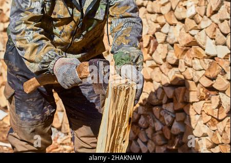 tritare la legna con un tritatutto in primo piano in una giornata di sole Foto Stock