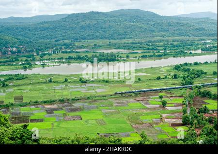 Ferrovia di Konkan che passa attraverso risaie campo Foto Stock