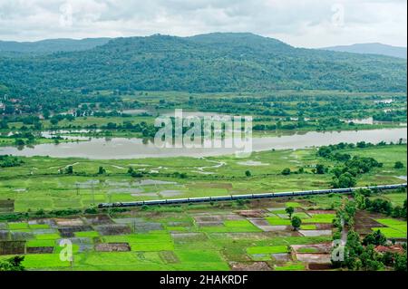 Ferrovia di Konkan che passa attraverso risaie campo Foto Stock