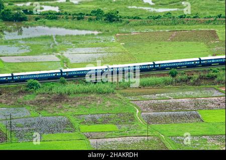 Ferrovia di Konkan che passa attraverso risaie campo Foto Stock