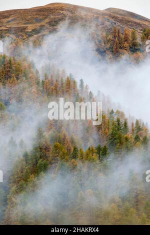 ALPES MARITIMES (06), PARCO NAZIONALE DEL MERCANTOUR, VALLE TINEE, ROUBION Foto Stock