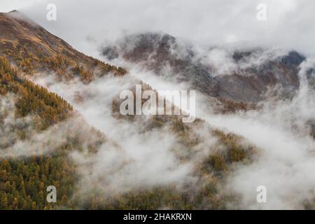 ALPES MARITIMES (06), PARCO NAZIONALE DEL MERCANTOUR, VALLE TINEE, ROUBION Foto Stock